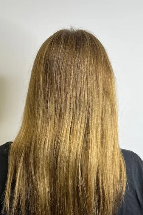 Light brown hair before the liquid protein treatment